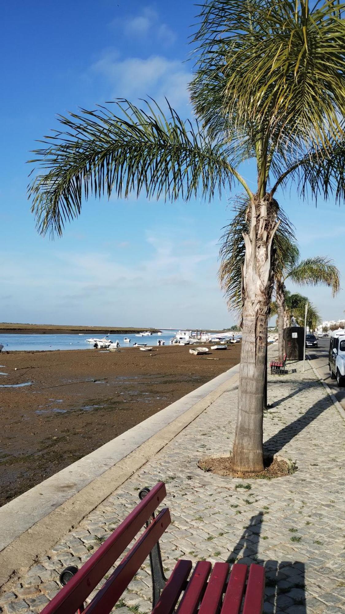 Apartmán Casinha Secreta - A Gema Escondida Da Santa Luzia Santa Luzia  Exteriér fotografie